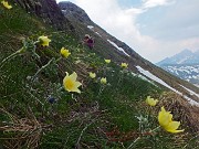 Anello della Val Asinina dal Passo del Vivione l’11 giugno 2014 - FOTOGALLERY